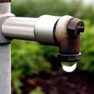 Une goutte d’eau repose sur une feuille.